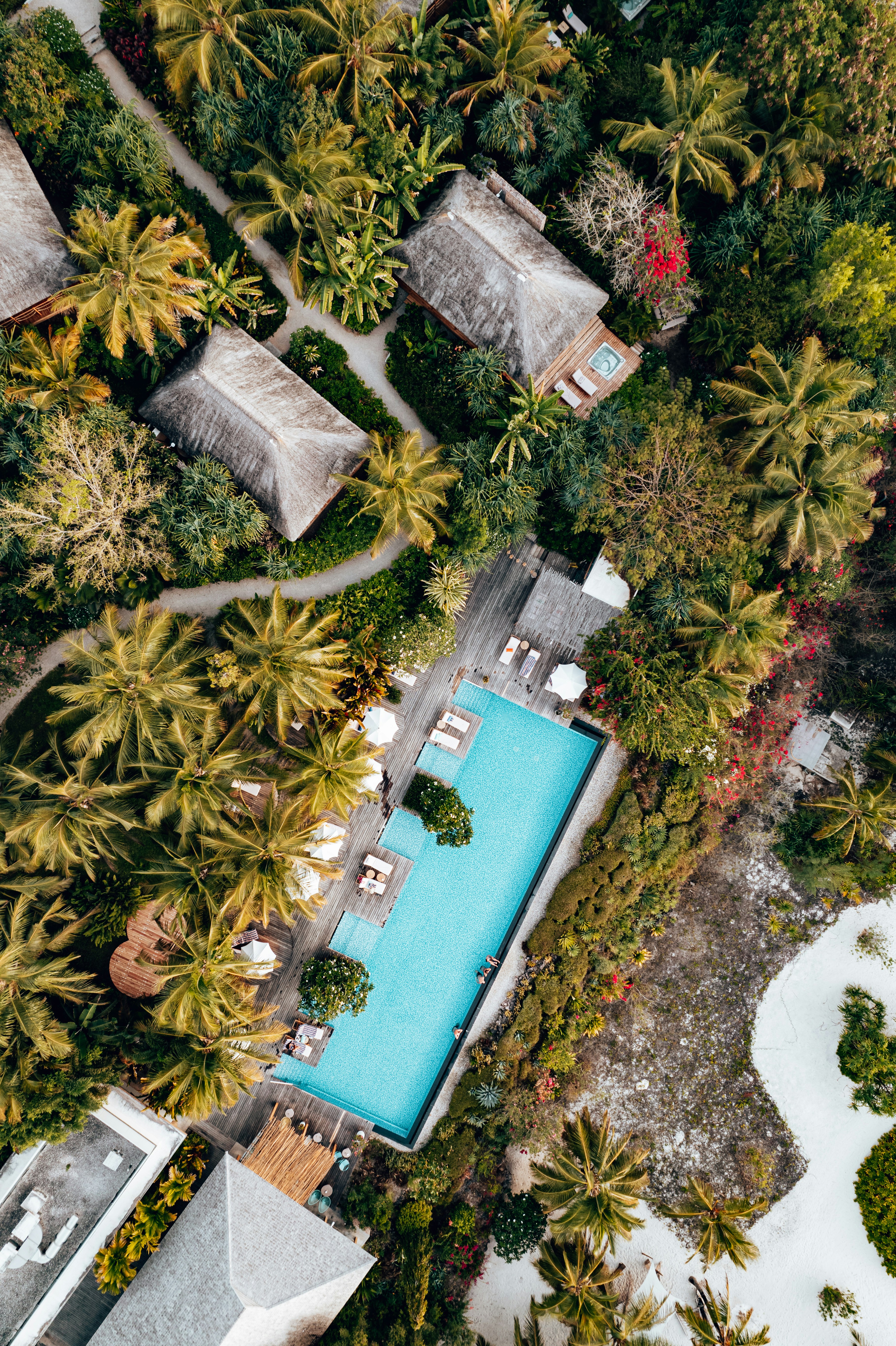 Coconut Grove Mediterranean