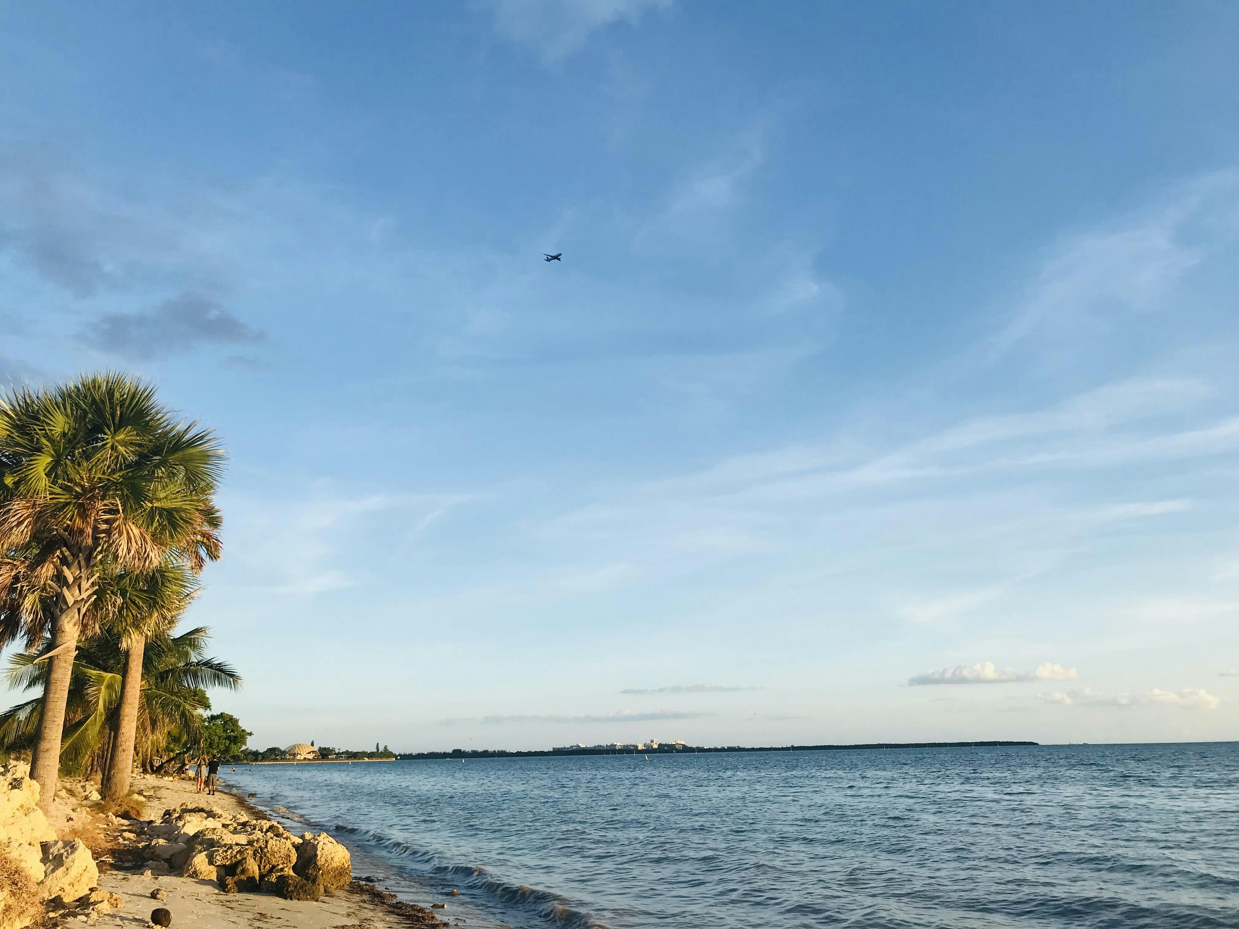 Coconut Grove waterfront